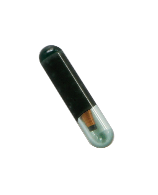 Transponder Cerámico KEYLINE Mod. GKM (ID48)